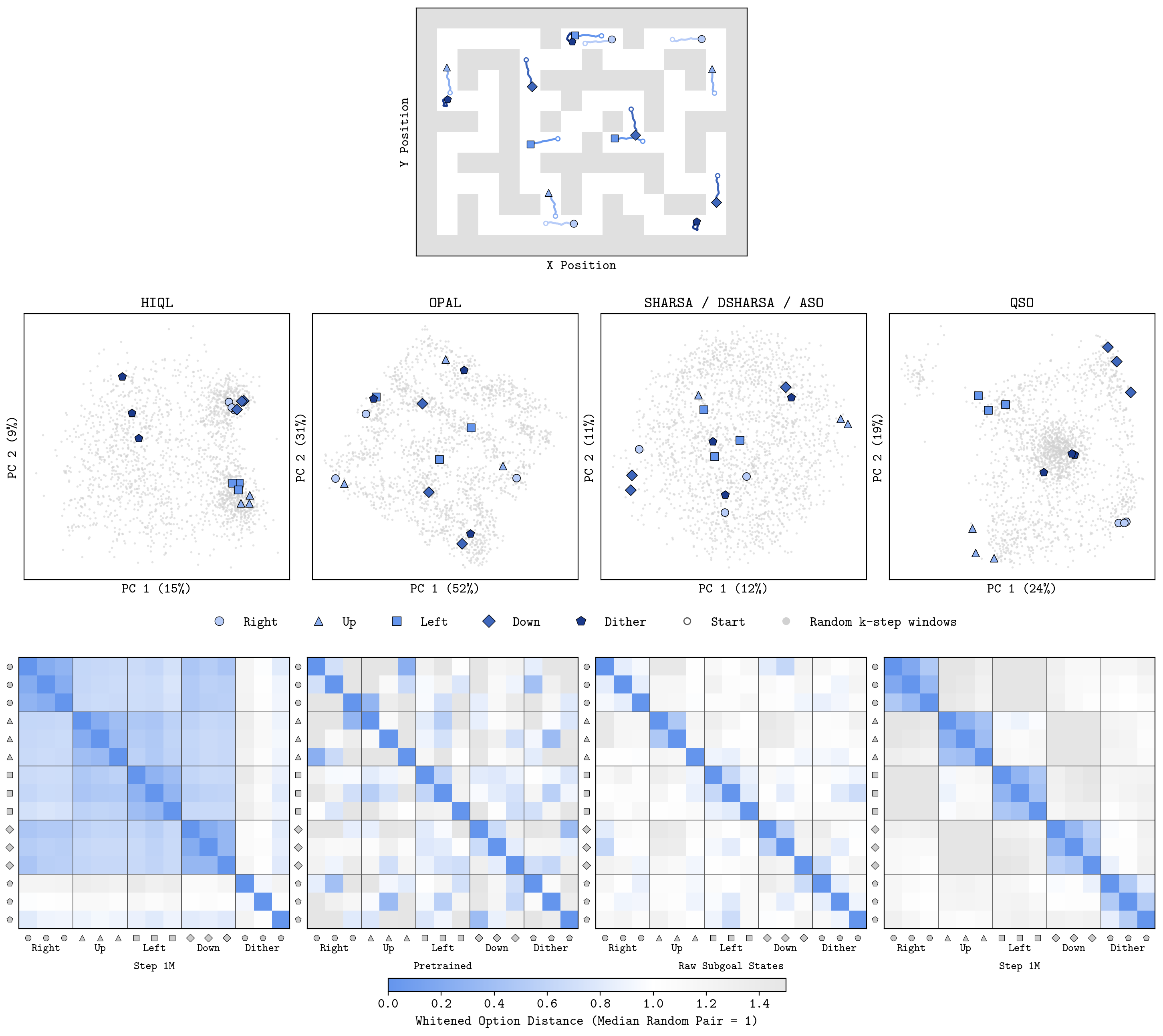 Ant Embeddings